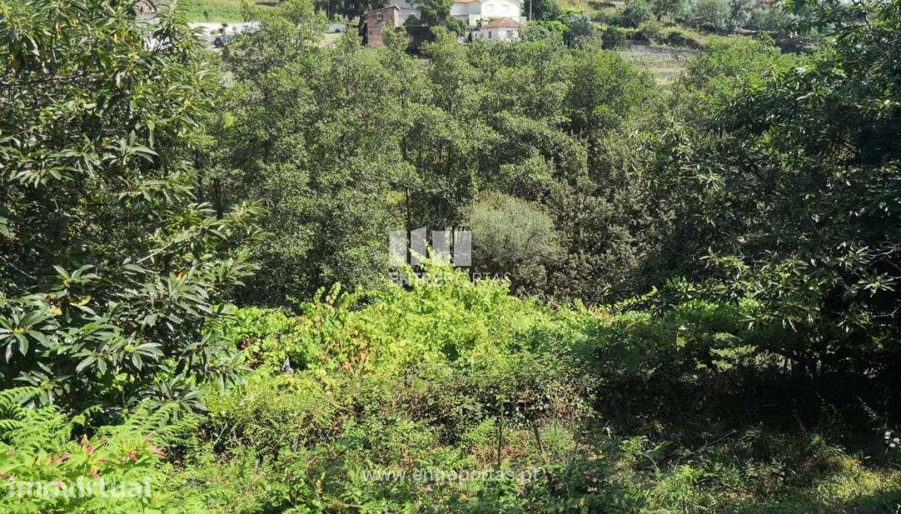 Venda de Terreno, Carvoeiro, Viana do Castelo. - Grande imagem: 2/33