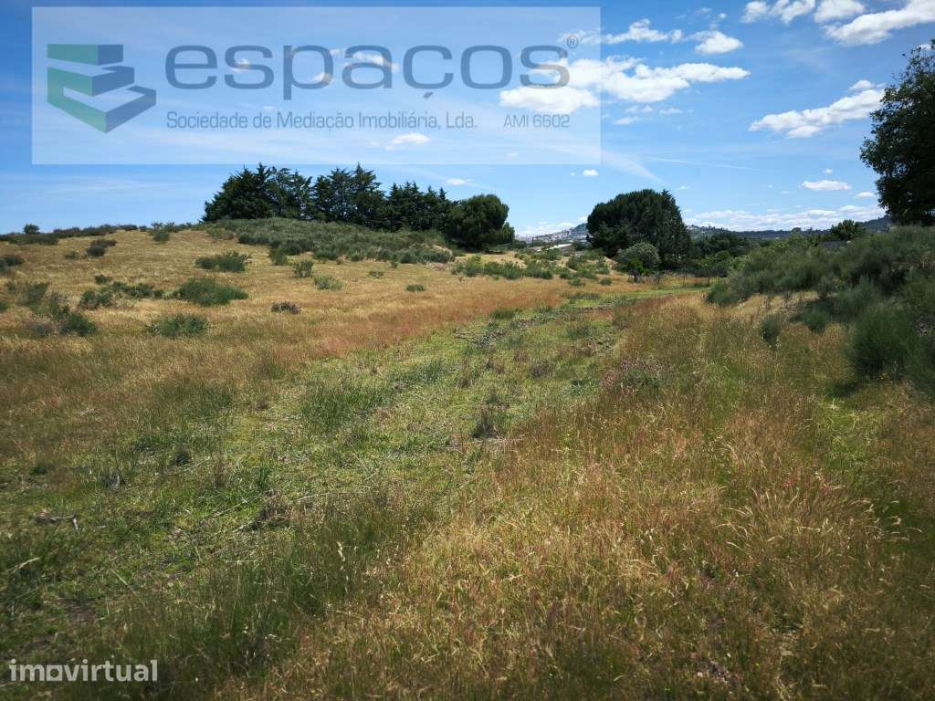 Terreno com 60.000 m² às portas da cidade de Castelo Branco - Grande imagem: 4/15