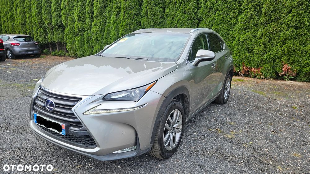 Lexus NX 300h - 2