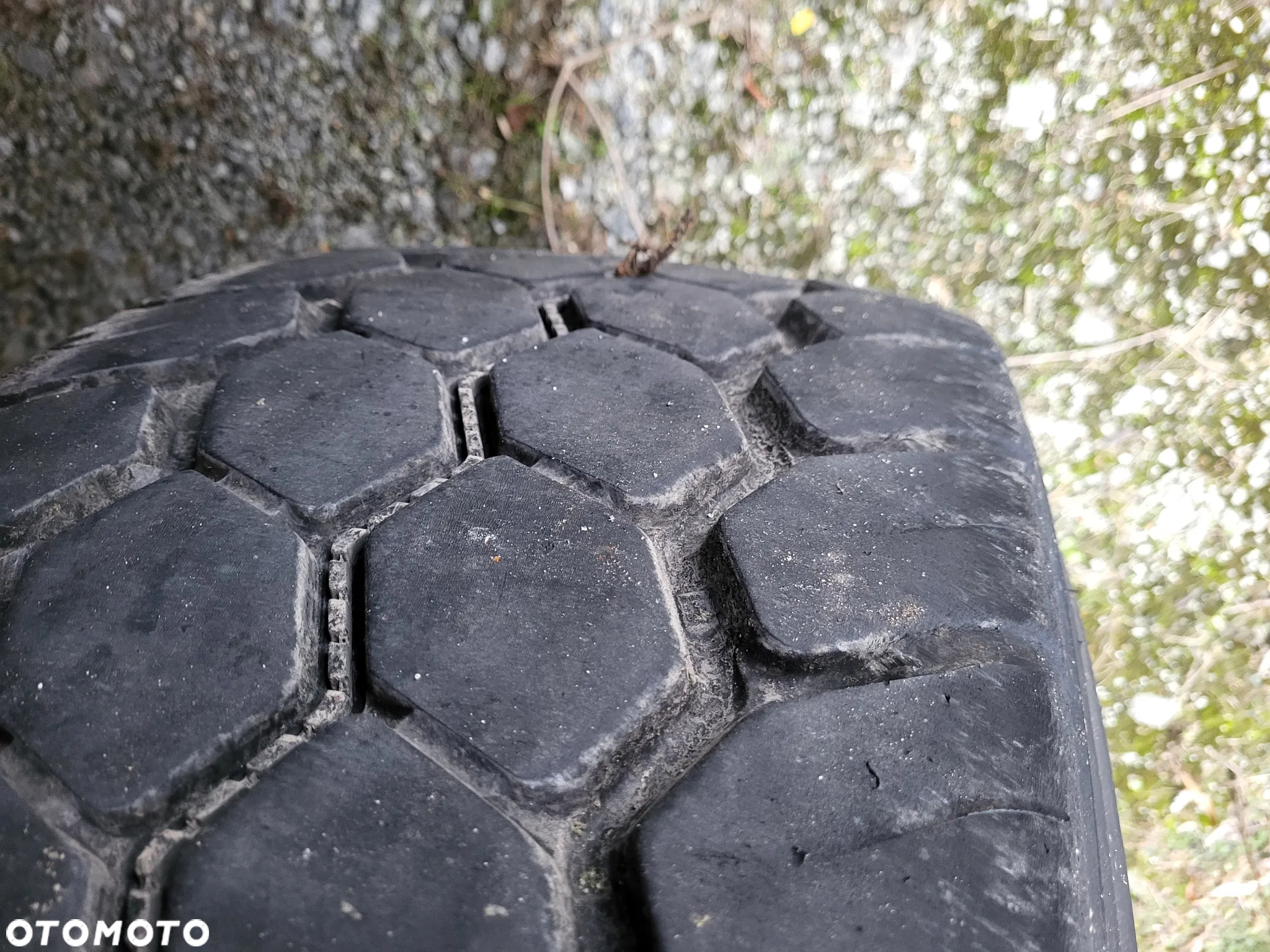 Krone Standard 2020 - 11