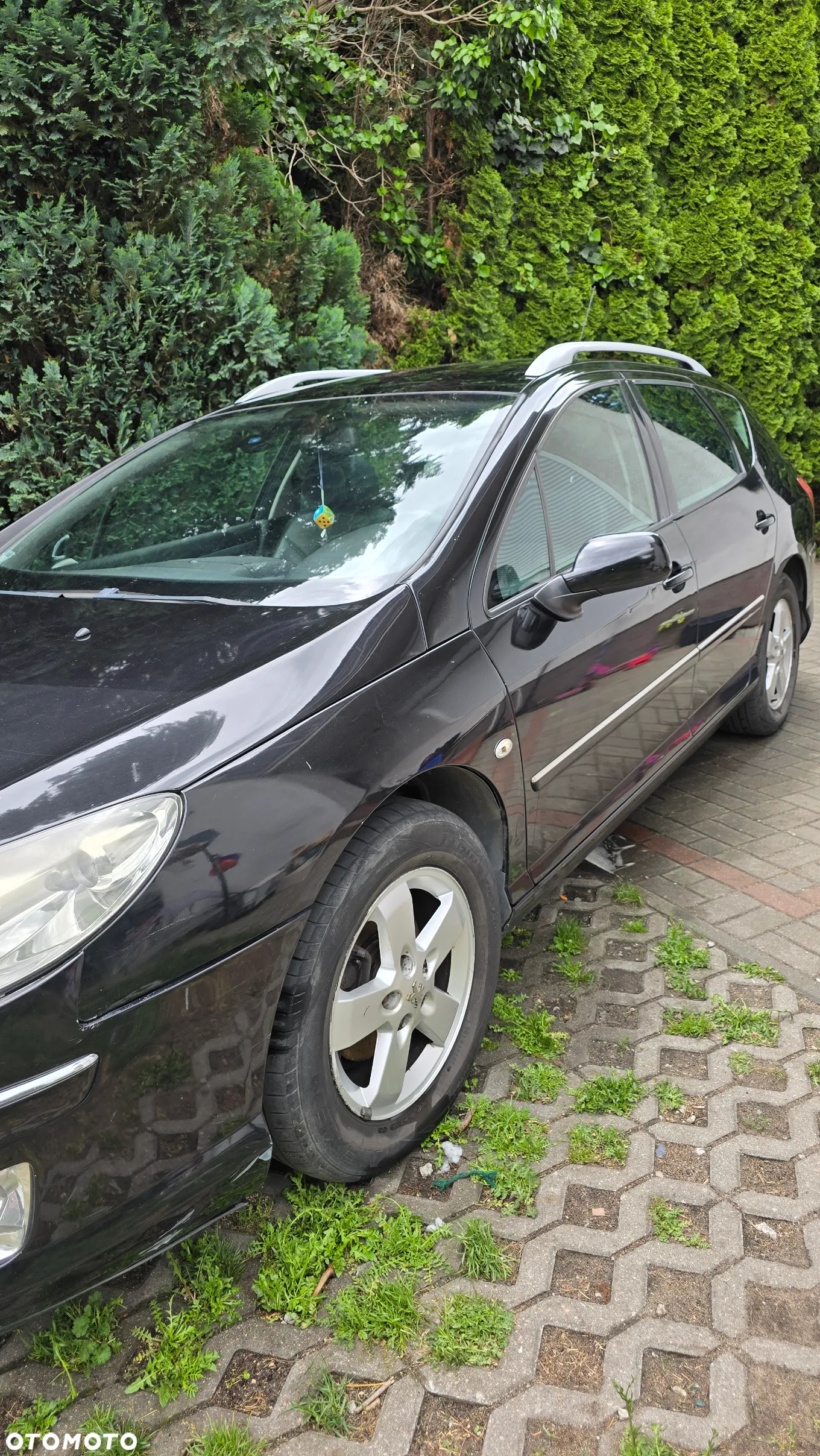 Peugeot 407 2.0 HDI Platinum - 2