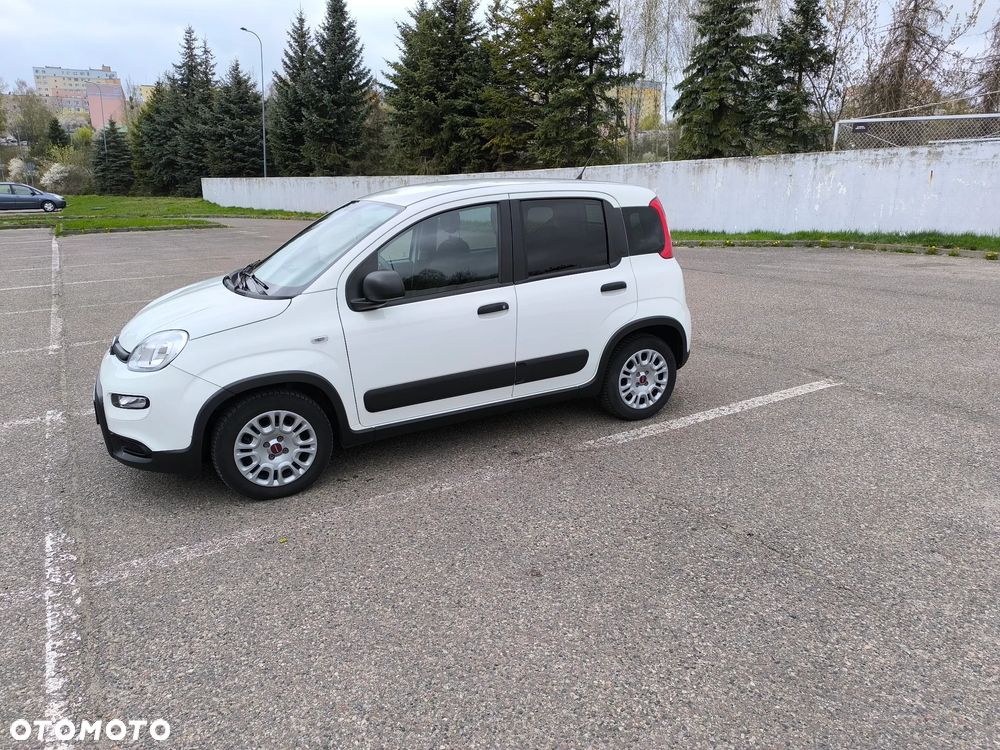 Fiat Panda - 2
