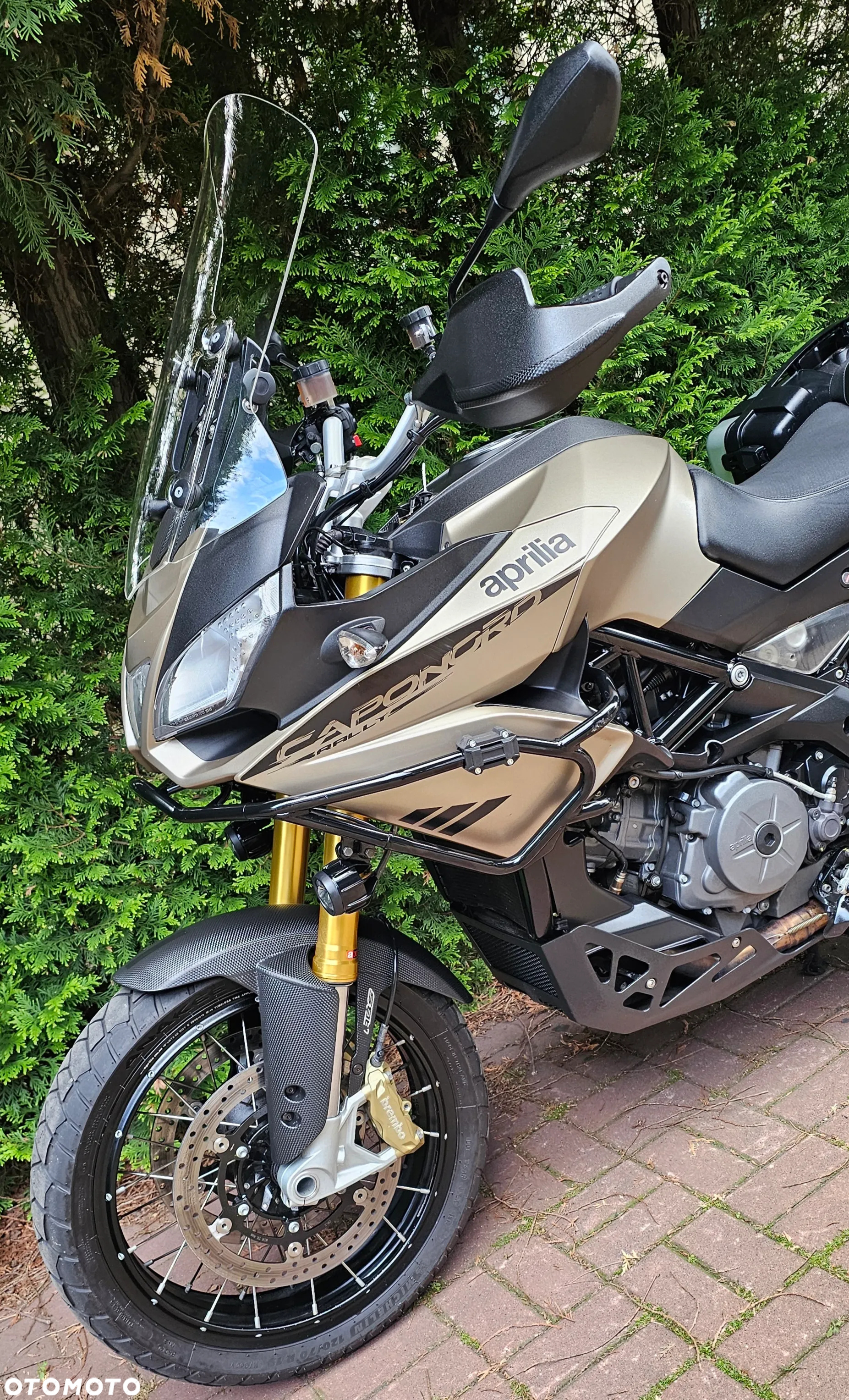 Aprilia Caponord - 14