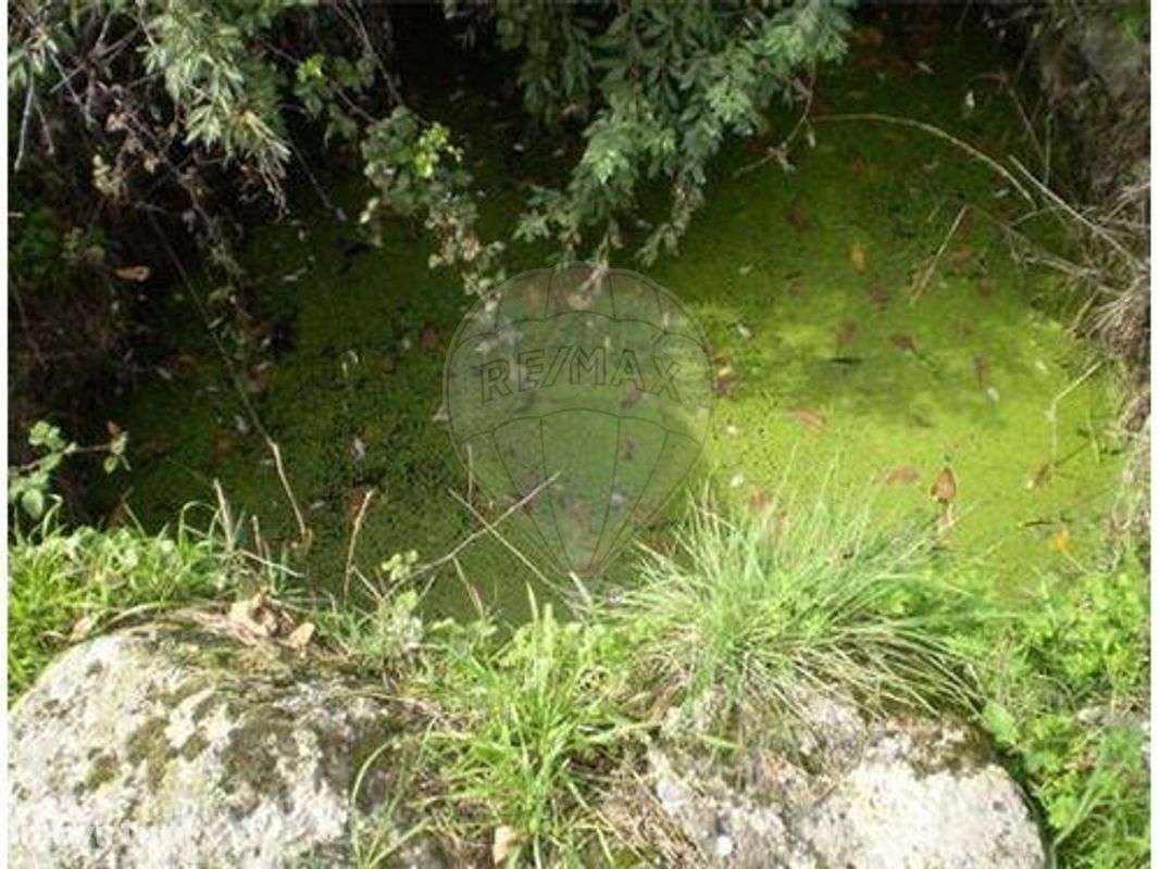 Terreno  para venda - Grande imagem: 3/10