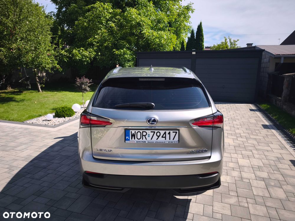 Lexus NX - 6