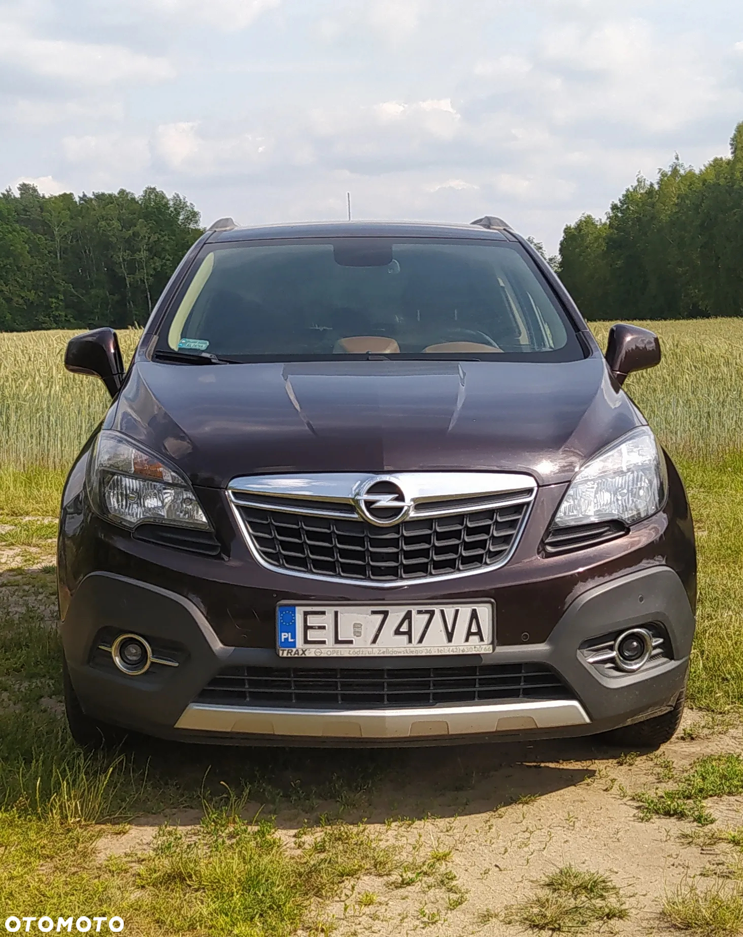 Opel Mokka 1.6 CDTI Cosmo S&S 4x4 - 14