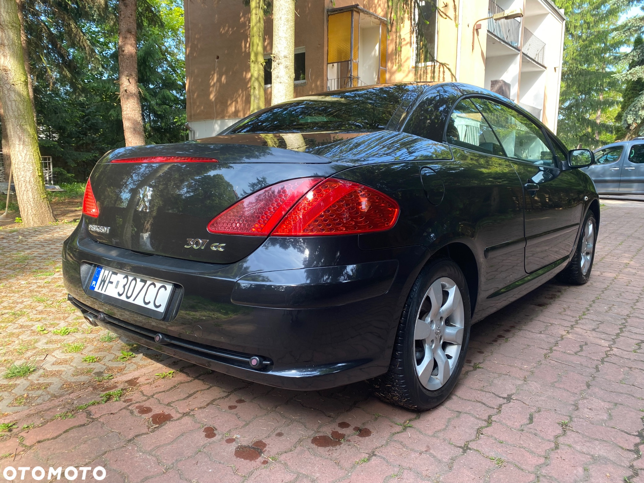 Peugeot 307 CC 2.0 Intense - 11