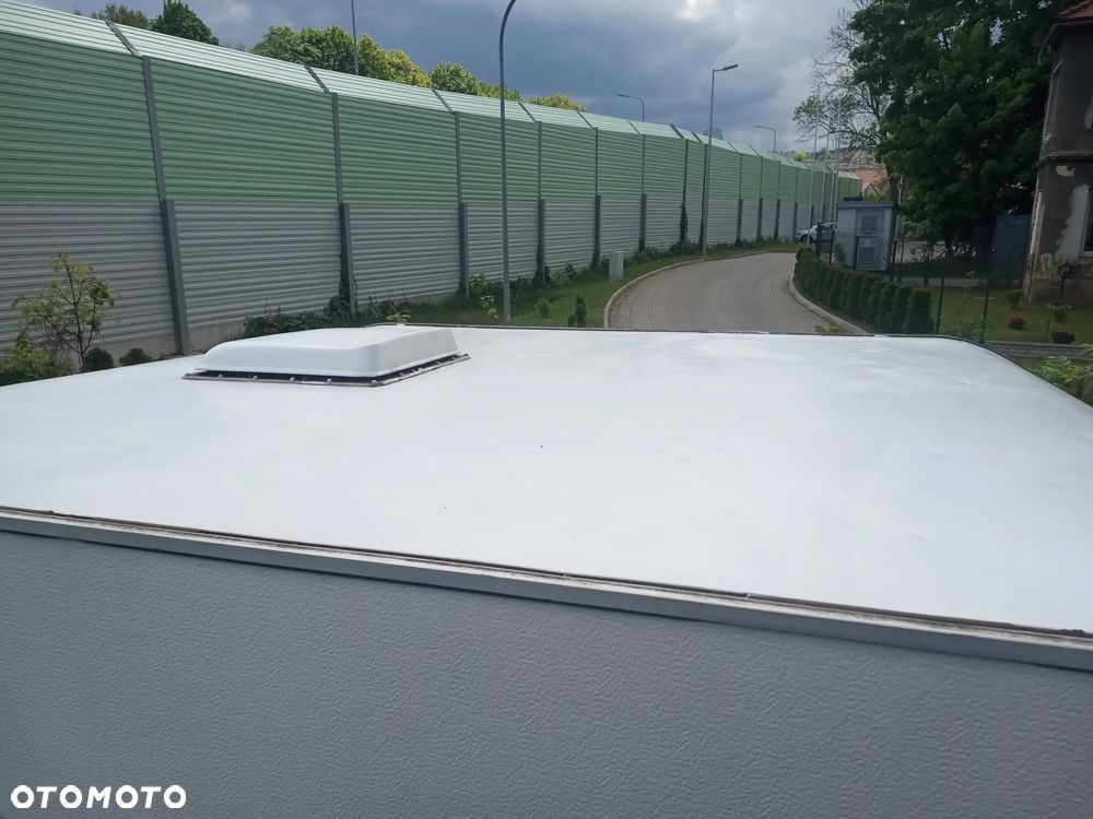 Wilk Sport 320 - 19
