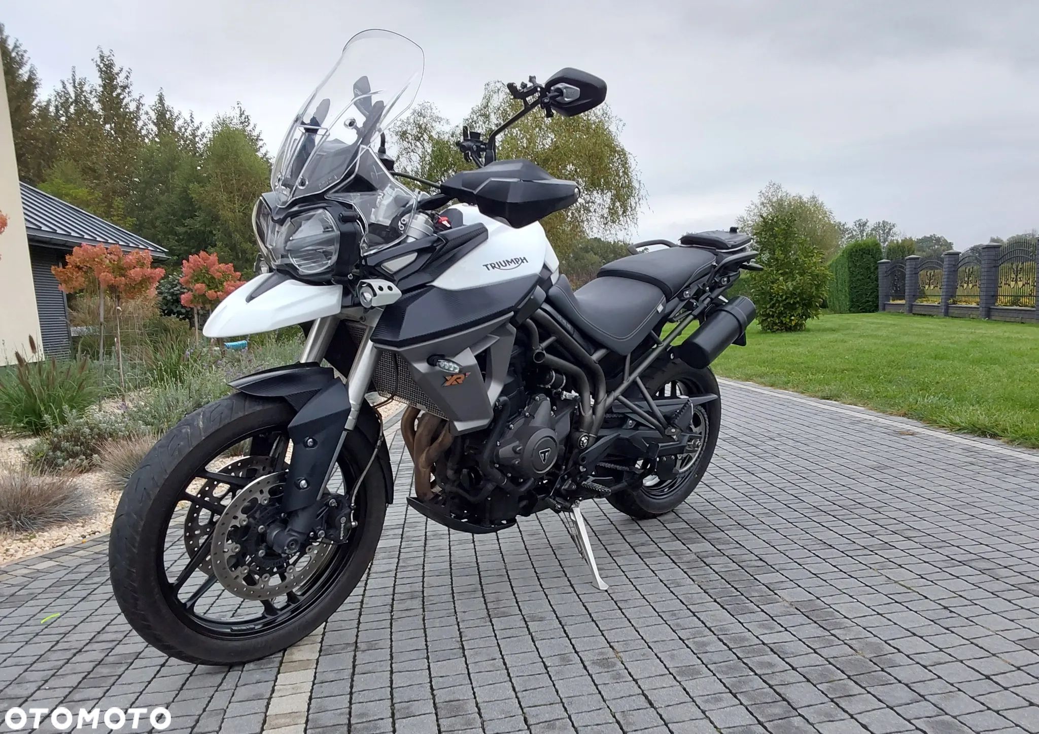 Triumph Tiger - 1