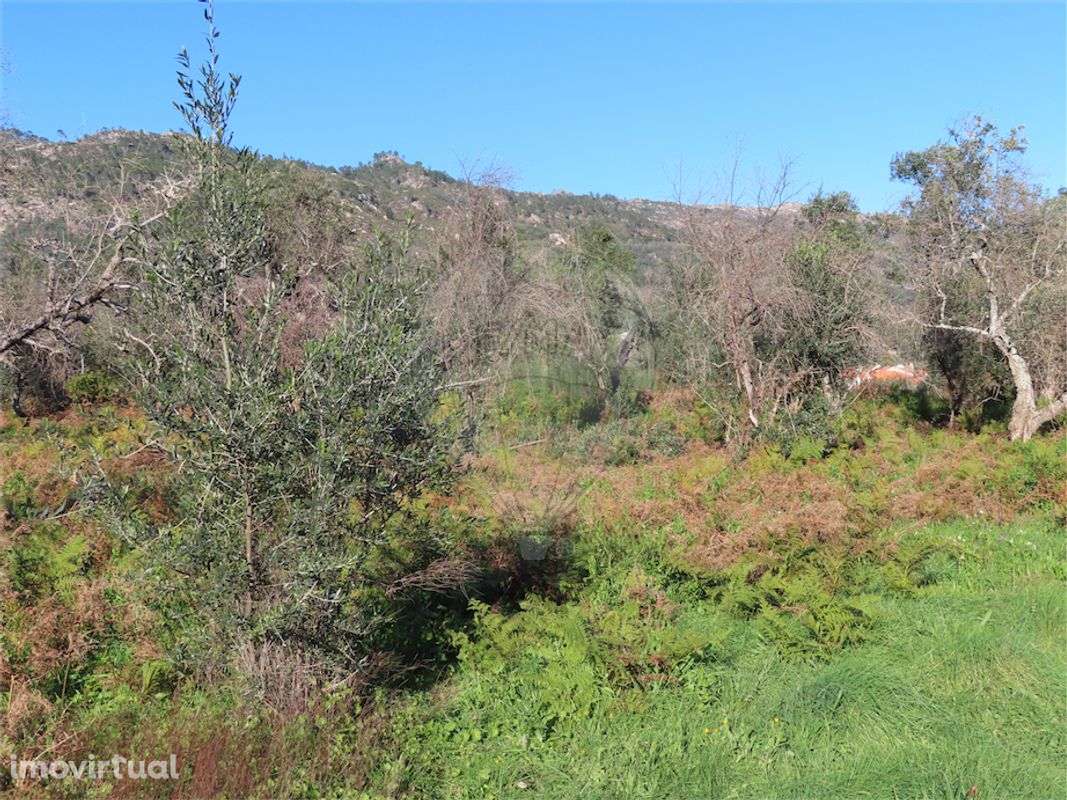 Quinta  para venda - Grande imagem: 3/16