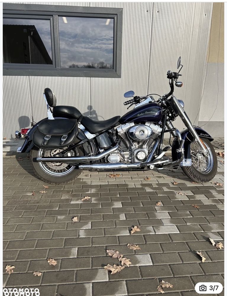 Harley-Davidson Sportster Custom 883C - 3