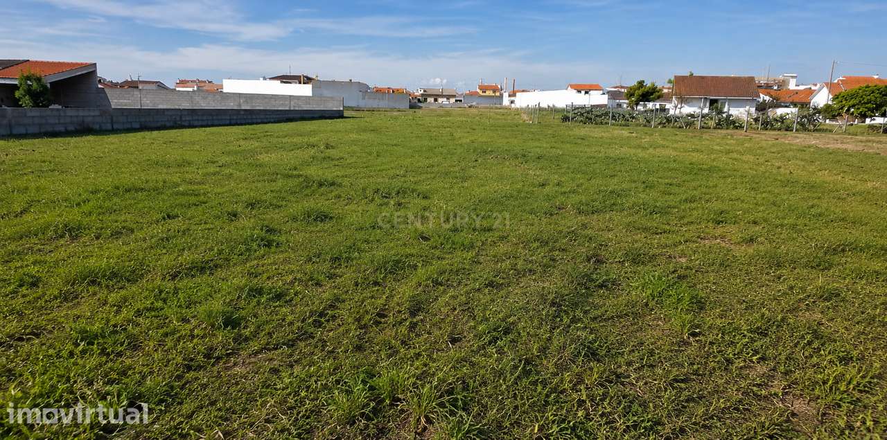 Terreno Rústico em Vieira de Leiria – 1.081 m² - Grande imagem: 3/5