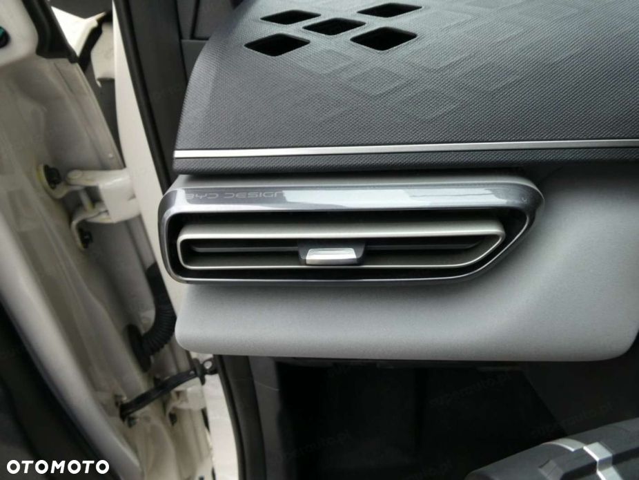 BYD Dolphin Surf - 10