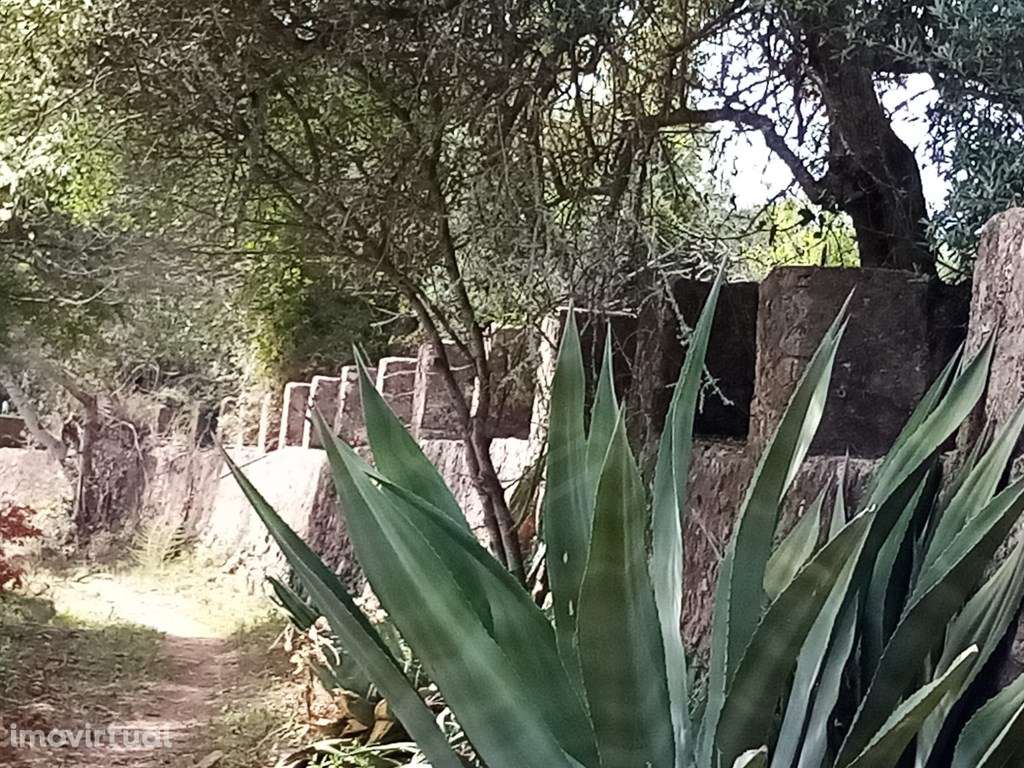 Terreno Rustico com 11 136m2, Loulé, Algarve - Grande imagem: 5/18