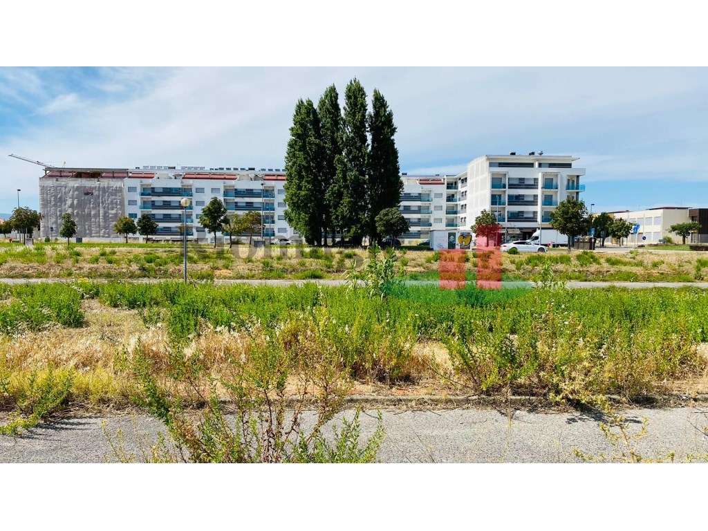 Lote Terreno Entroncamento para Moradia - Grande imagem: 2/23