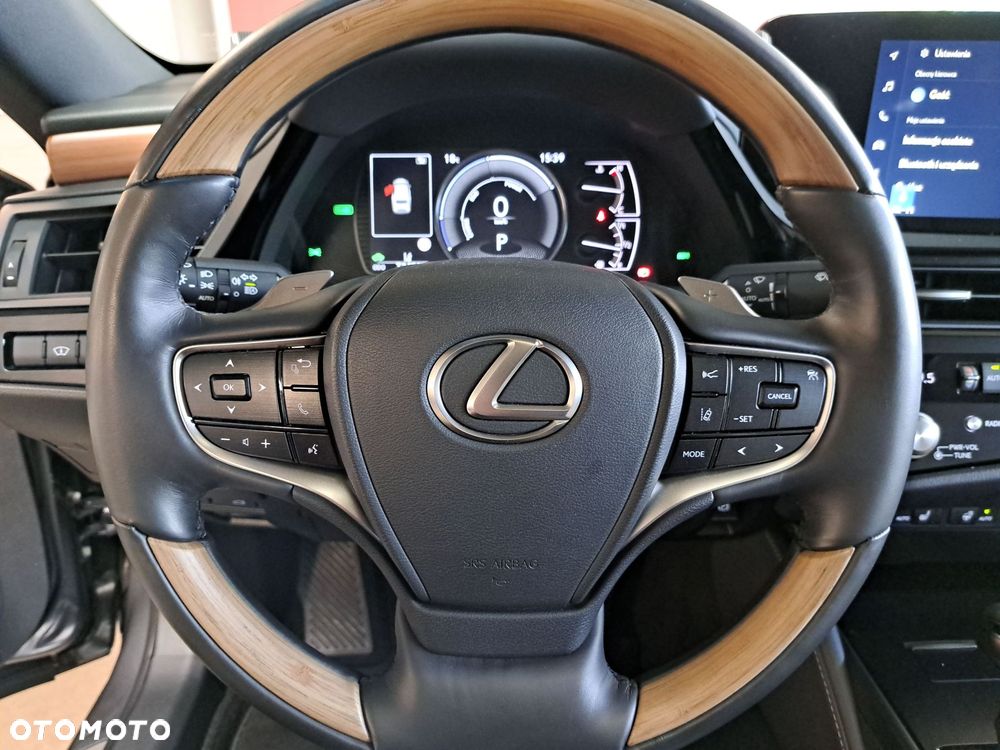Lexus ES 300h Omotenashi - 31