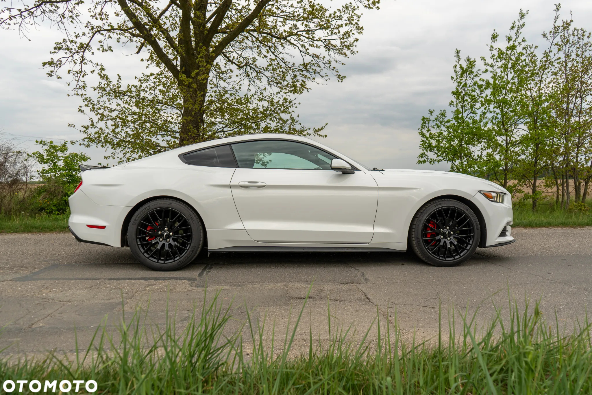 Ford Mustang - 7