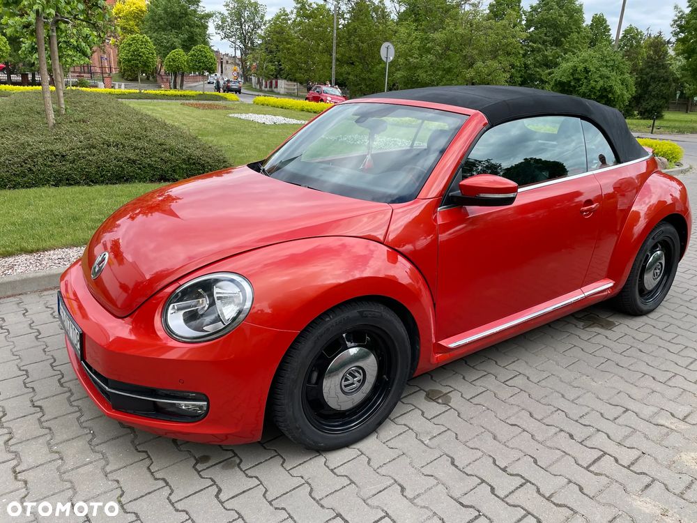 Volkswagen Beetle - 15