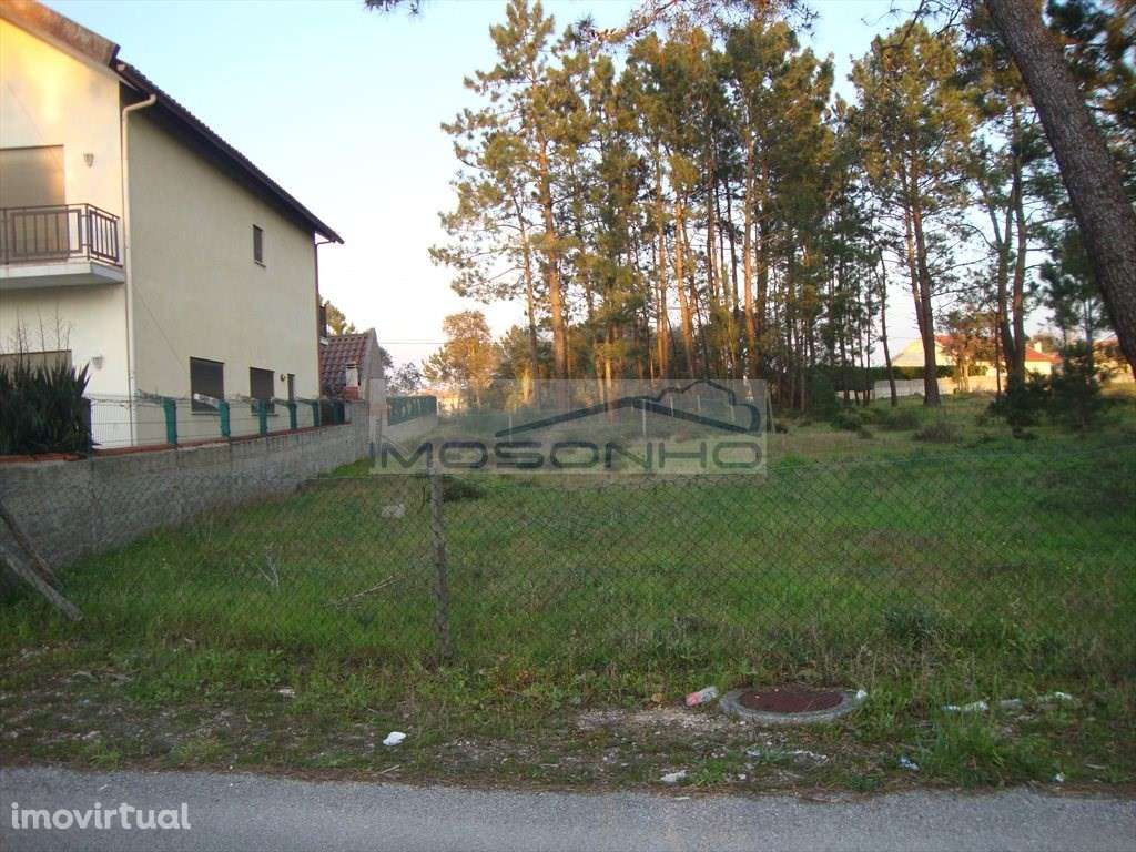 Terreno - Grande imagem: 3/3