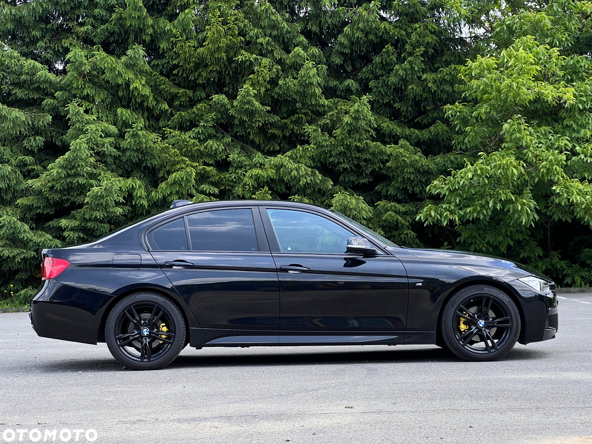 BMW Seria 3 - 6