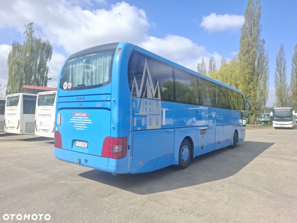 MAN LION'S COACH - 7