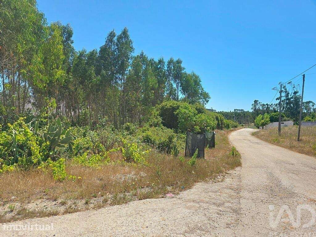 Terreno em Lourinhã e Atalaia de 2120,00 m2 - Grande imagem: 2/30