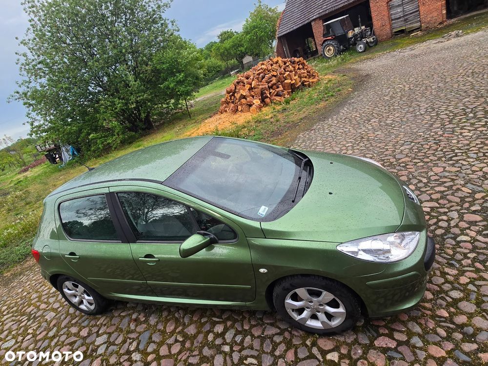 Peugeot 307 1.6 XT Premium - 4