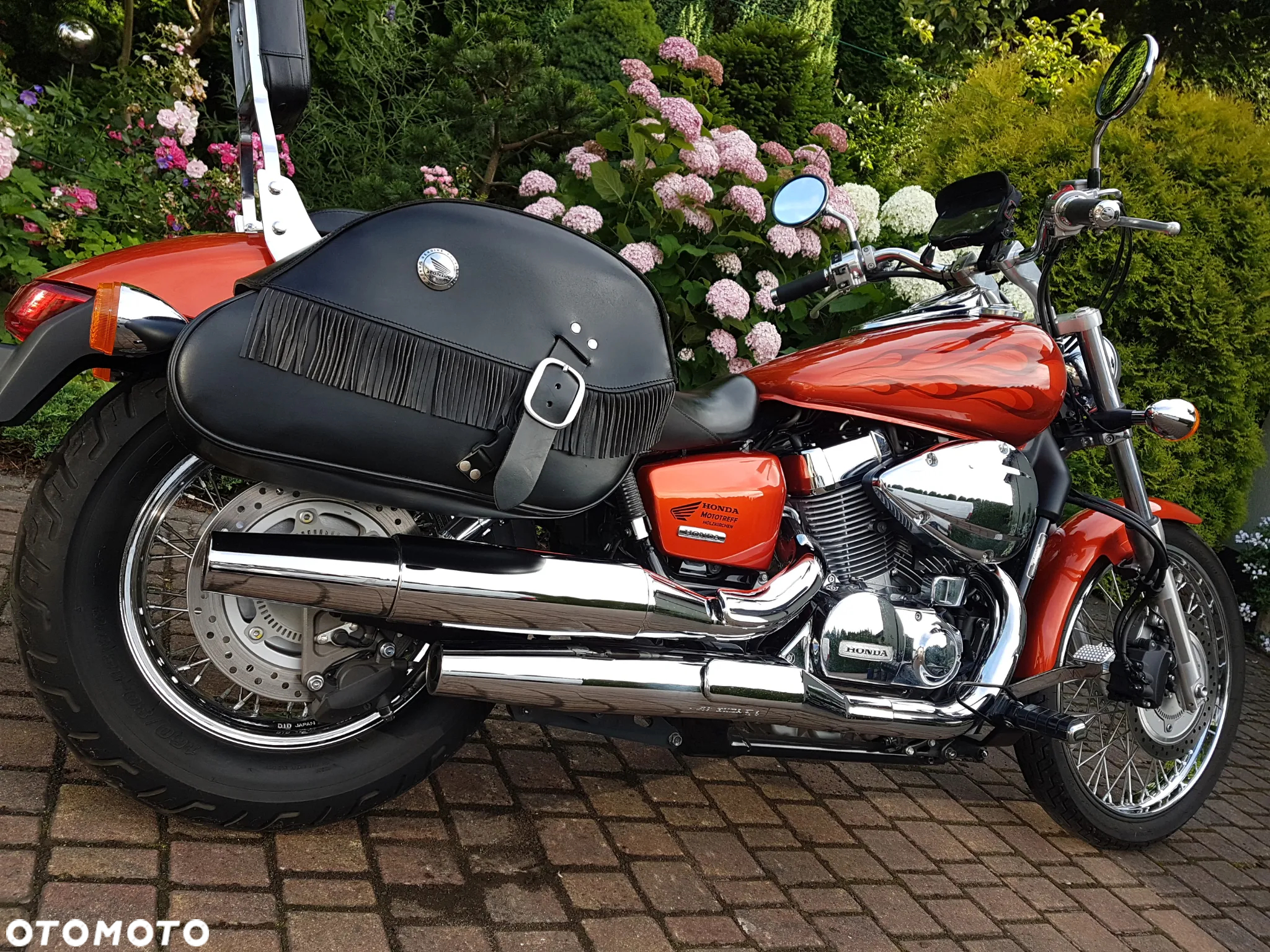 Honda Shadow - 14