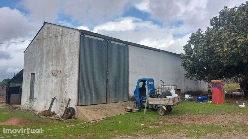 Rústico c/ Habitação e dependências - Alcôrrego | AVIS - Grande imagem: 5/9