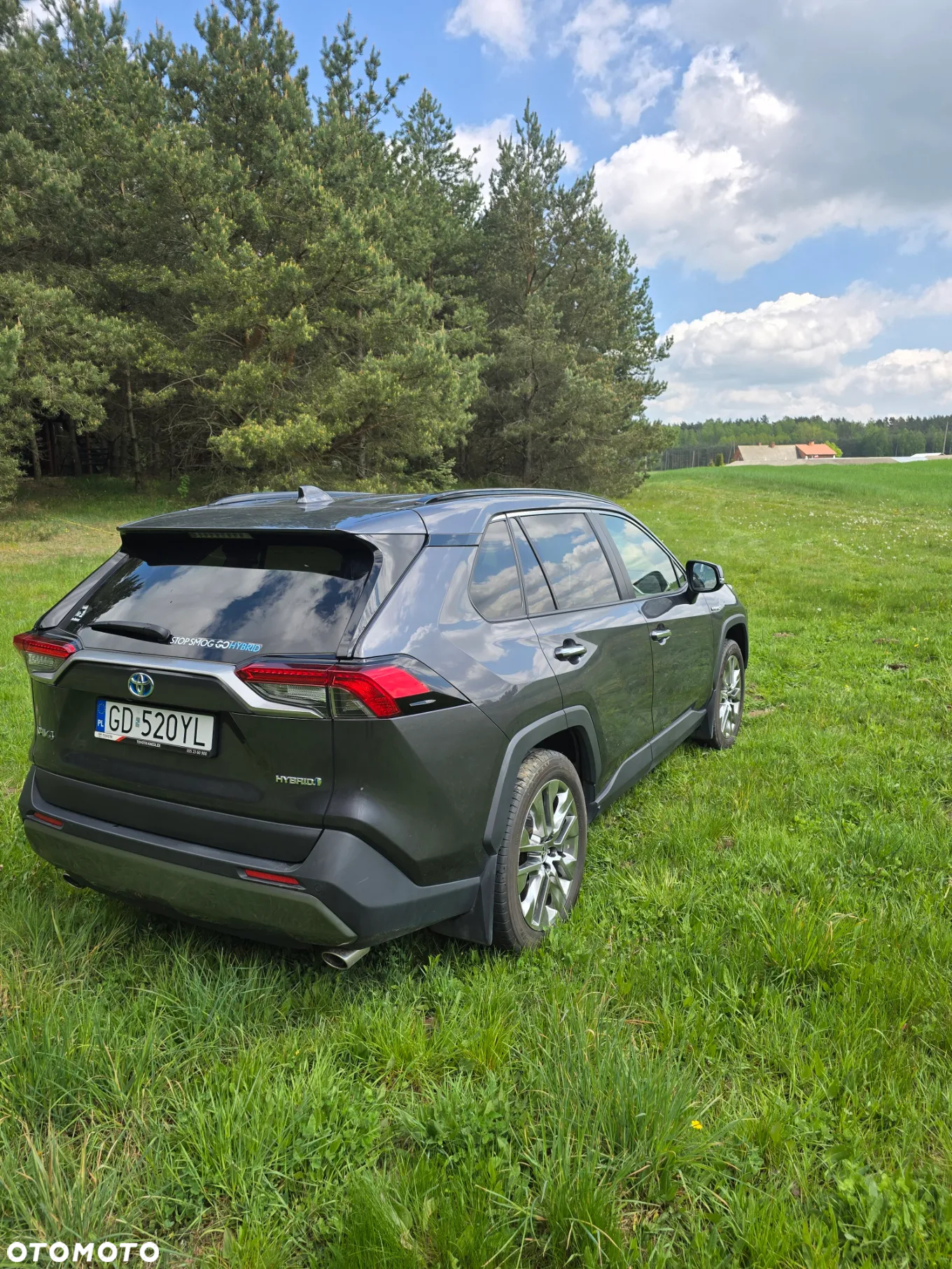 Toyota RAV4 2.5 Hybrid Executive 4x2 - 6