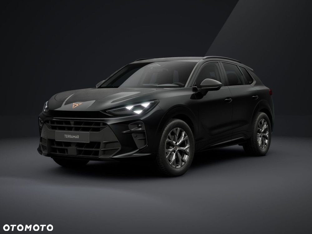 Cupra Terramar - 2