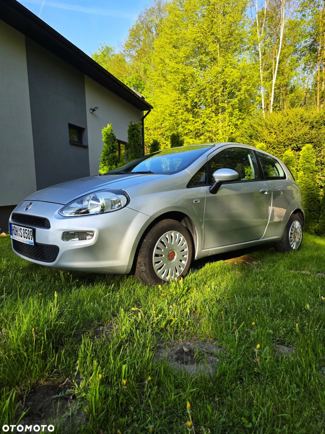 Fiat Punto - 2