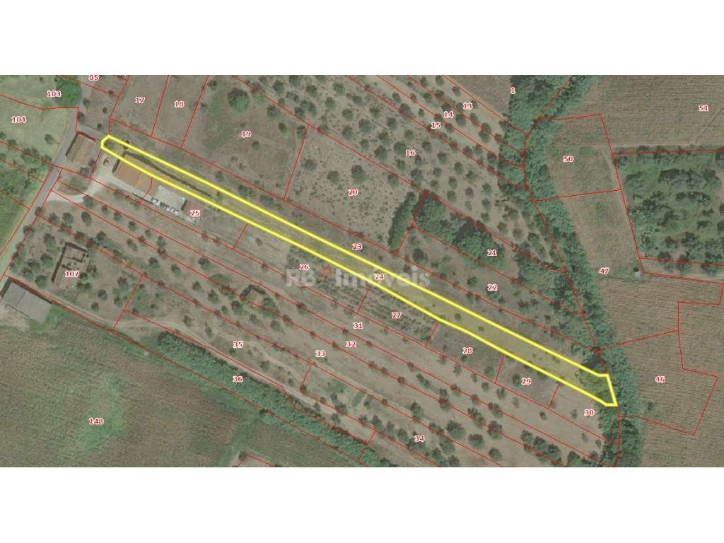 Terreno Rústico com 1800m2 - Bemposta, Tomar