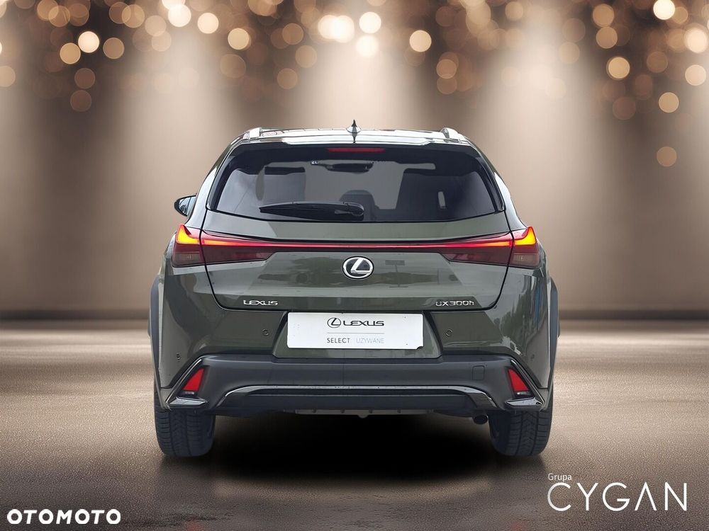 Lexus UX 300h F Sport Design - 6