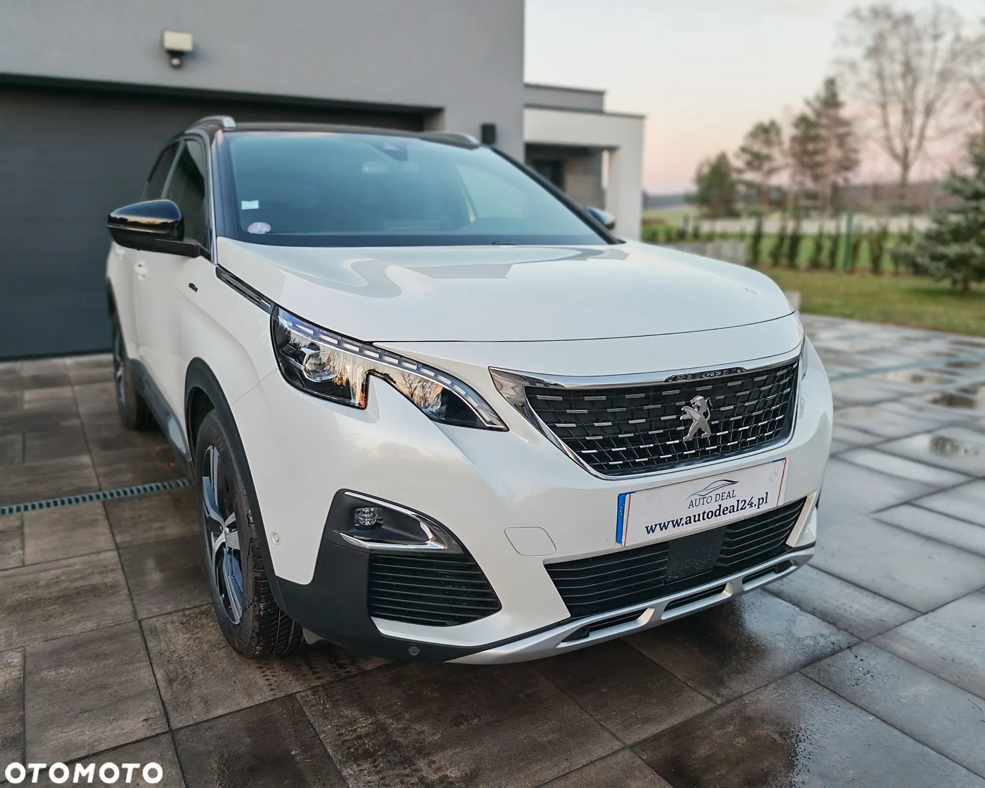 Peugeot 3008 - 16