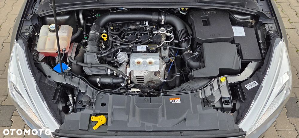 Ford Focus 1.0 EcoBoost Titanium - 14