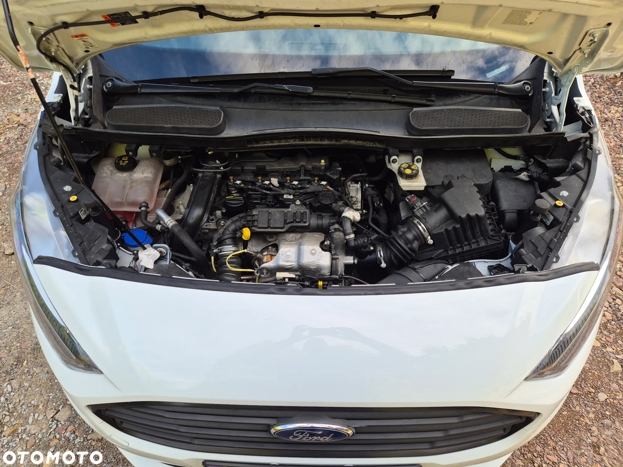 Ford Transit Connect 230 L1 LKW Trend - 15