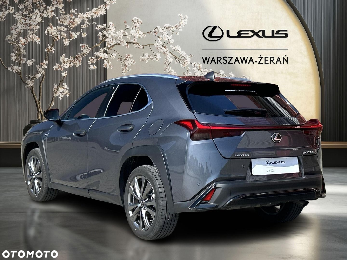 Lexus UX 250h GPF F Sport Design 2WD - 5