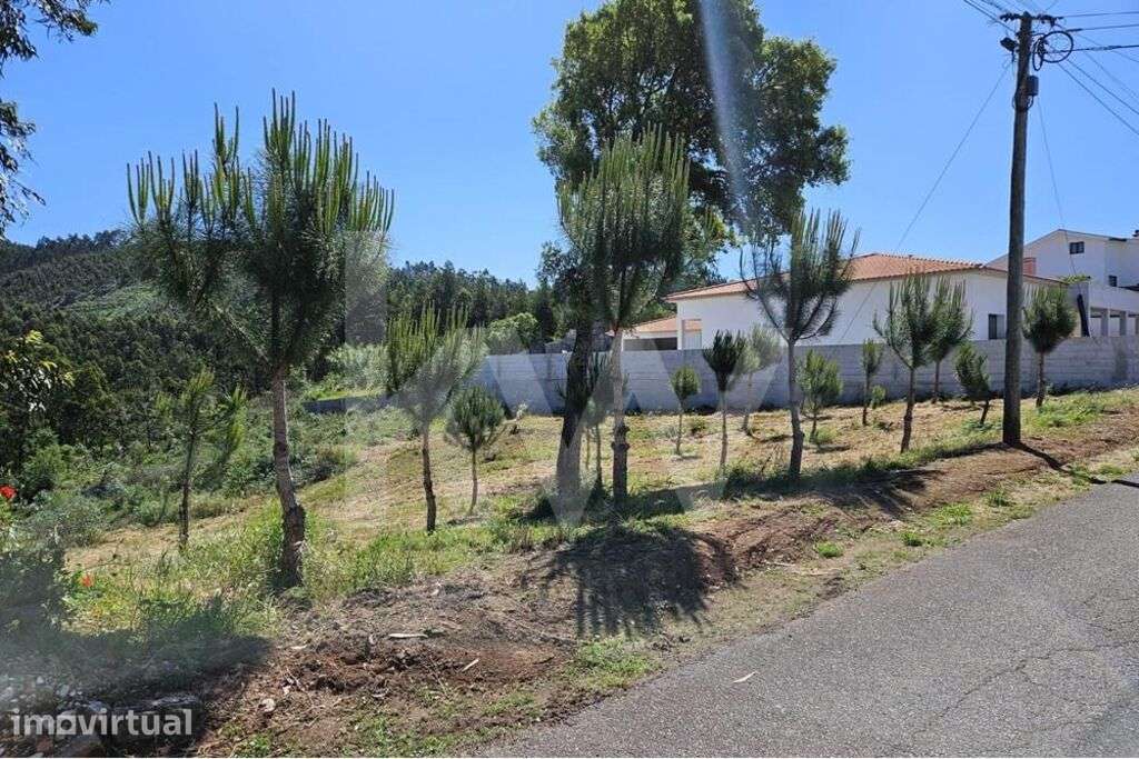 Terreno | Viabilidade de construção | 2.318 m2 | Boa exposição solar - Grande imagem: 2/13