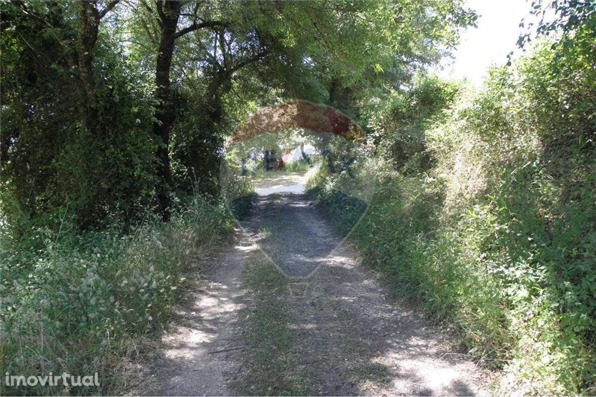 TERRENO PLANO COM A ÁREA DE 21.120 M2 - Grande imagem: 2/22