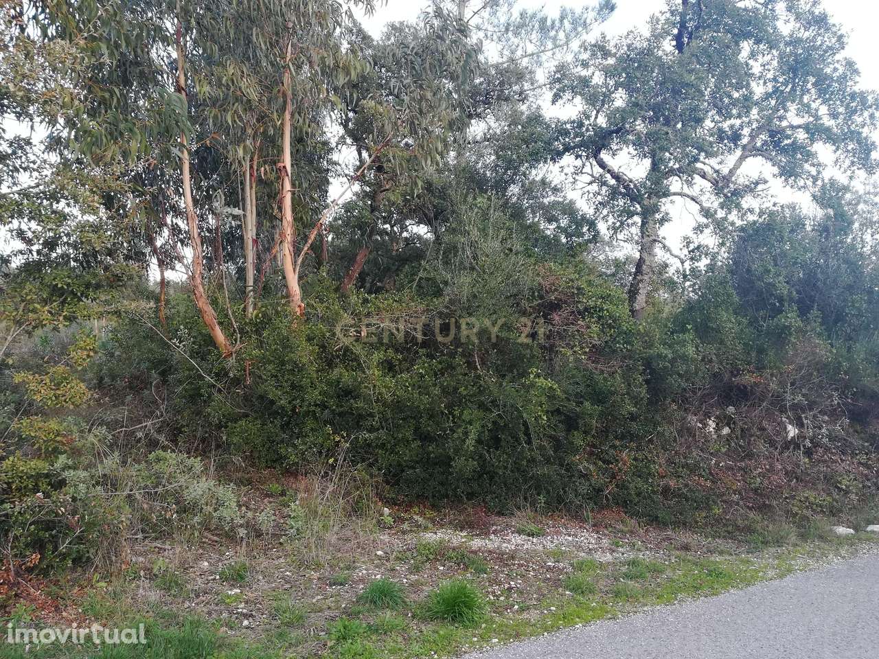 Terreno || Venda - Grande imagem: 2/10