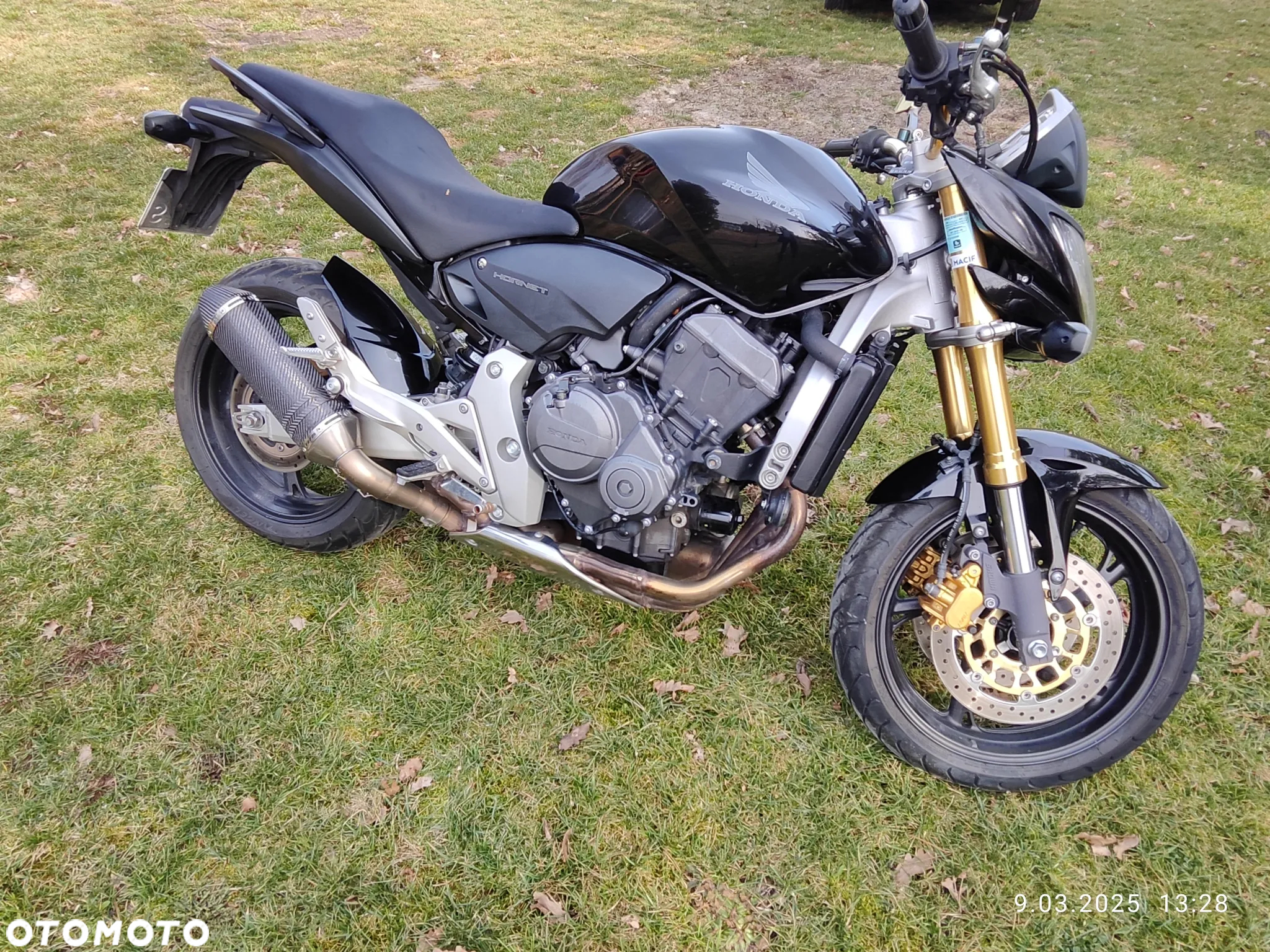 Honda Hornet - 7