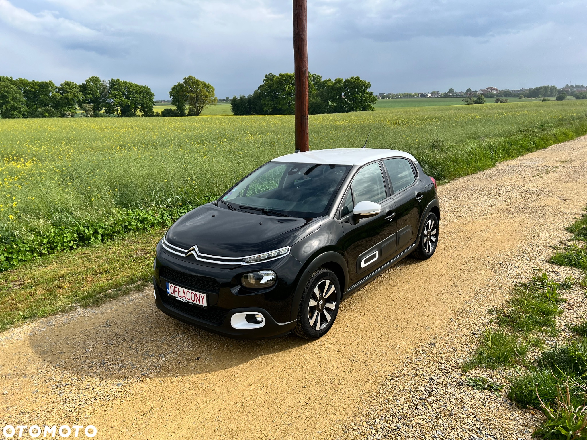 Citroën C3 1.2 PureTech GPF Shine S&S EAT6 - 21