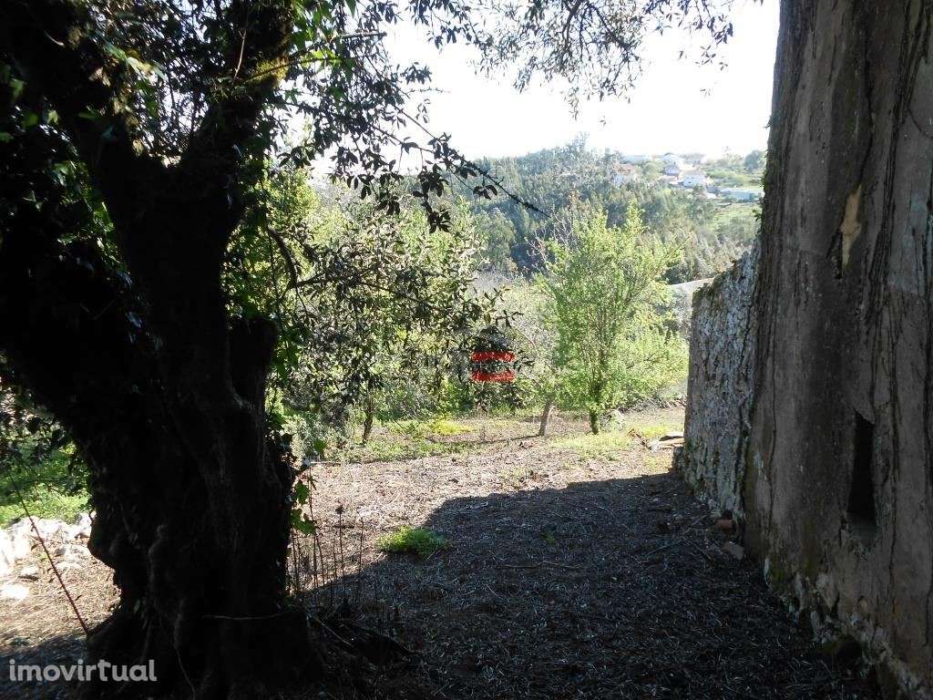 Moradia T3 para recuperar - Grande imagem: 5/22