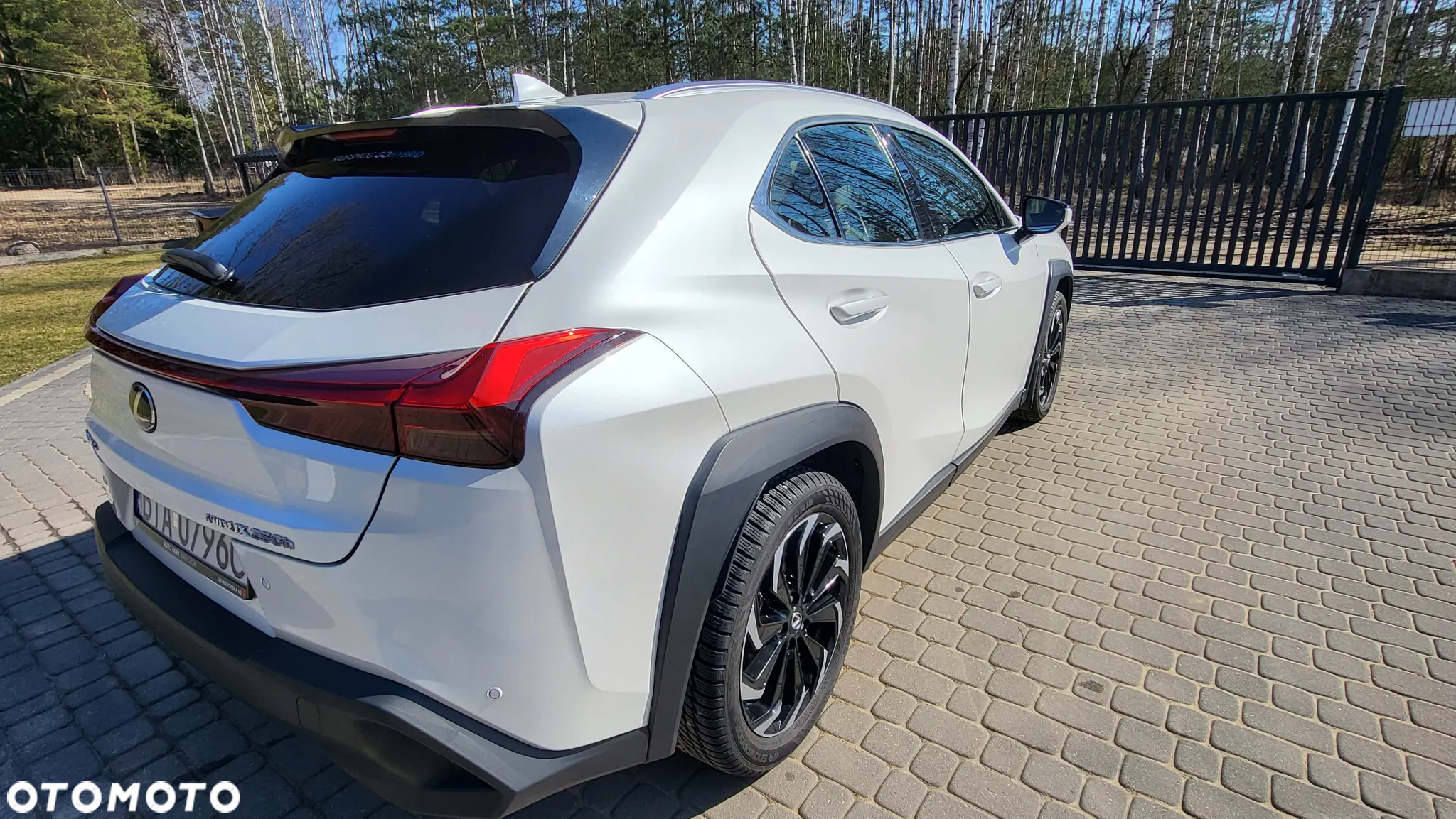 Lexus UX 250h GPF Business AWD - 4