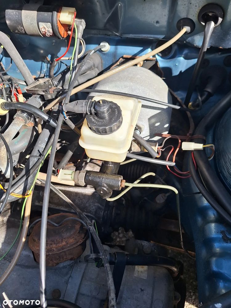 Volkswagen Golf - 21