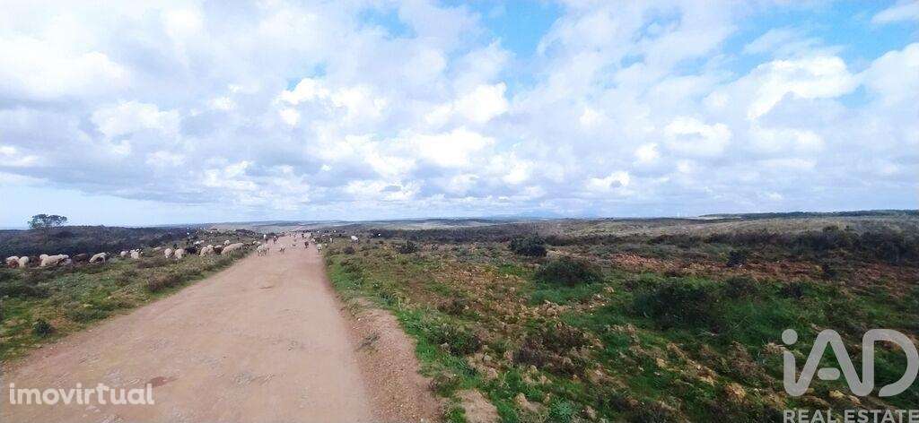 Terreno T1 em Vila do Bispo e Raposeira de 715460,00 m2 - Grande imagem: 2/11