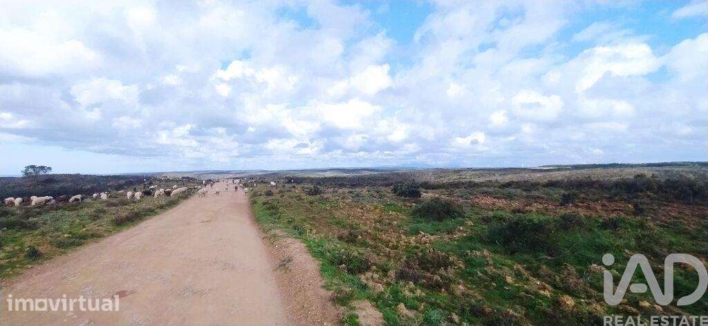 Terreno T1 em Vila do Bispo e Raposeira de 715460,00 m2 - Grande imagem: 2/11