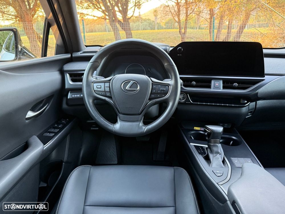 Lexus UX 250h F Sport - 38