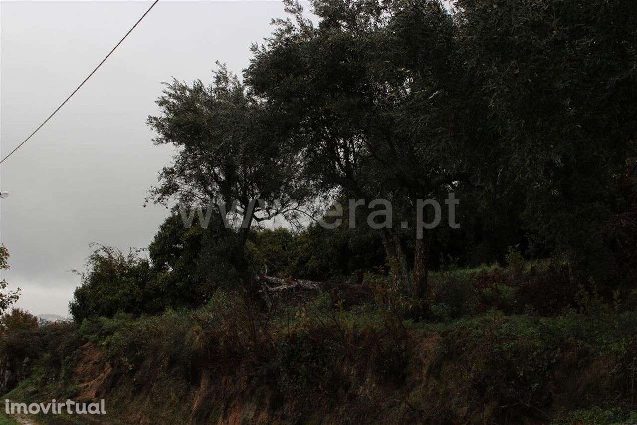 Quinta / Fundão, Aldeia de Joanes - Grande imagem: 2/3